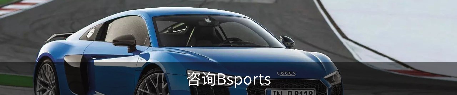 咨询Bsports
